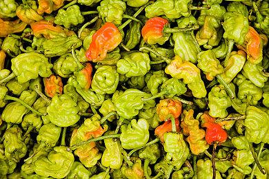 迪士尼游戏高管认为《星球大战：旧共和国武士》重制版“仍有很多需求”